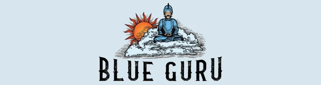 Banner de Blue Guru Games