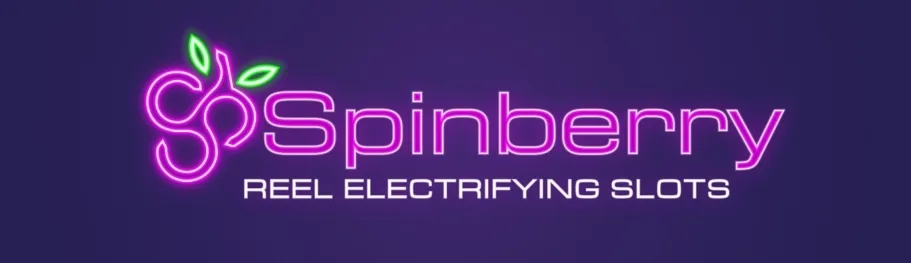 Banner de Spinberry