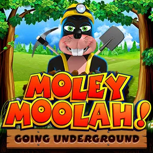 Slot machine Moley-Moolah