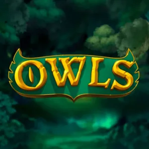 Slot machine Owls