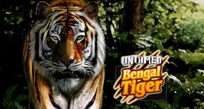 Slot machine Untamed-Bengal-Tiger