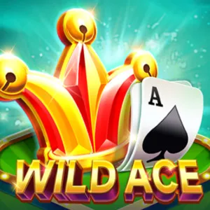 Slot machine Wild-Ace