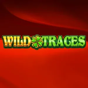 Slot machine Wild-Traces