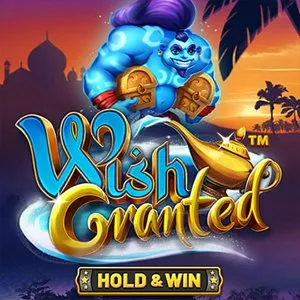 Slot machine Wish-Granted-Hold-Win