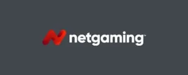 NetGaming logo